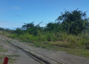 Jernbanen, som før i tiden har transporteret sukkerrør rundt på øen
